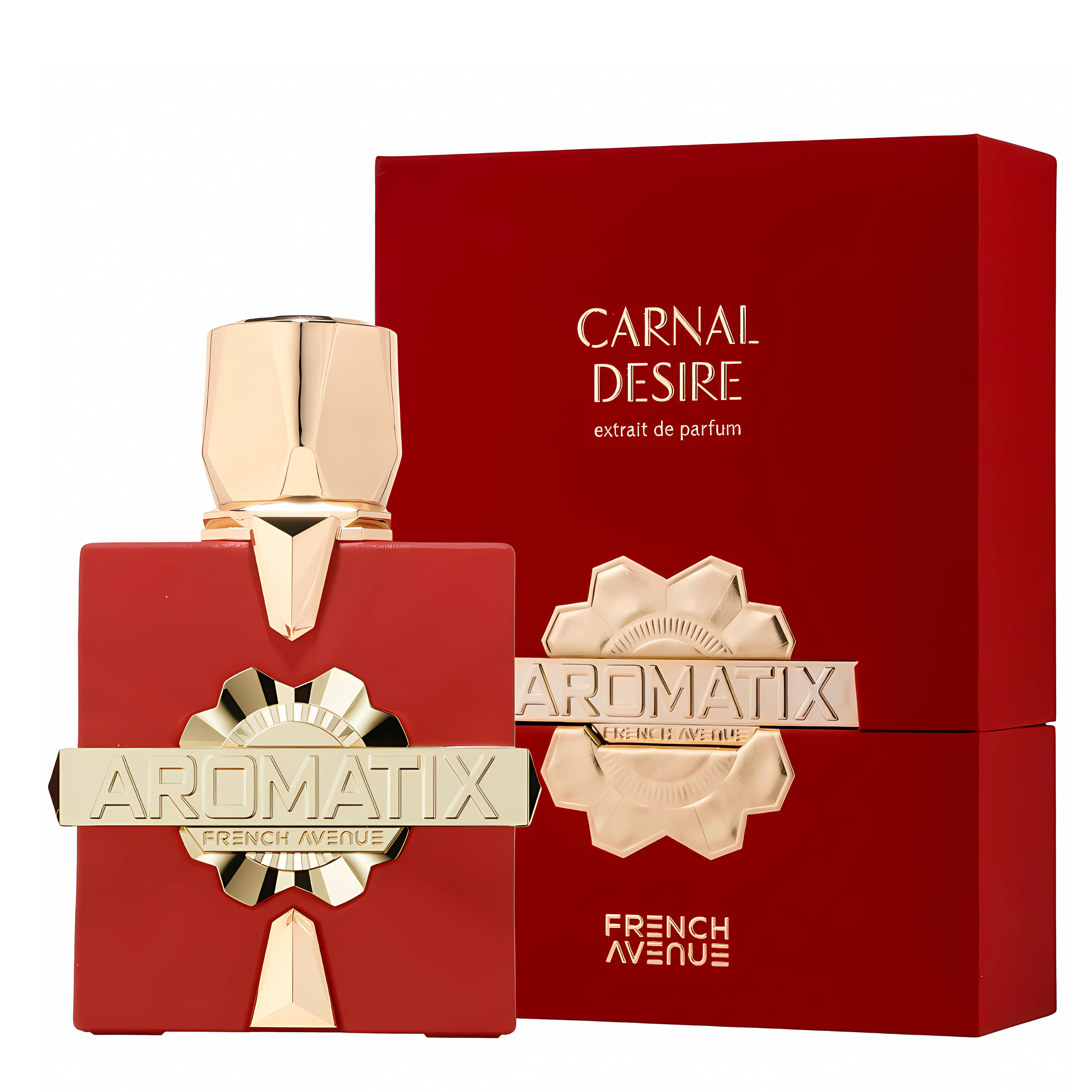 Carnal Desire Aromatix  Perfume 100ml EDP French Avenue By Fragrance World