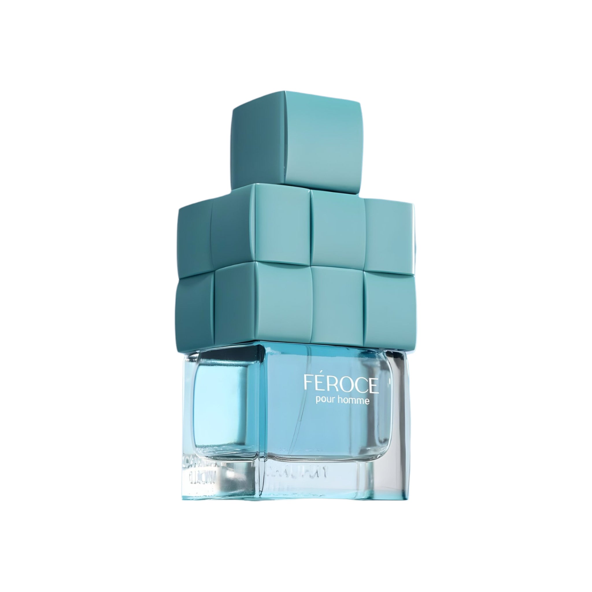 Feroce Pour Homme Perfume 100ml EDP by FA Paris