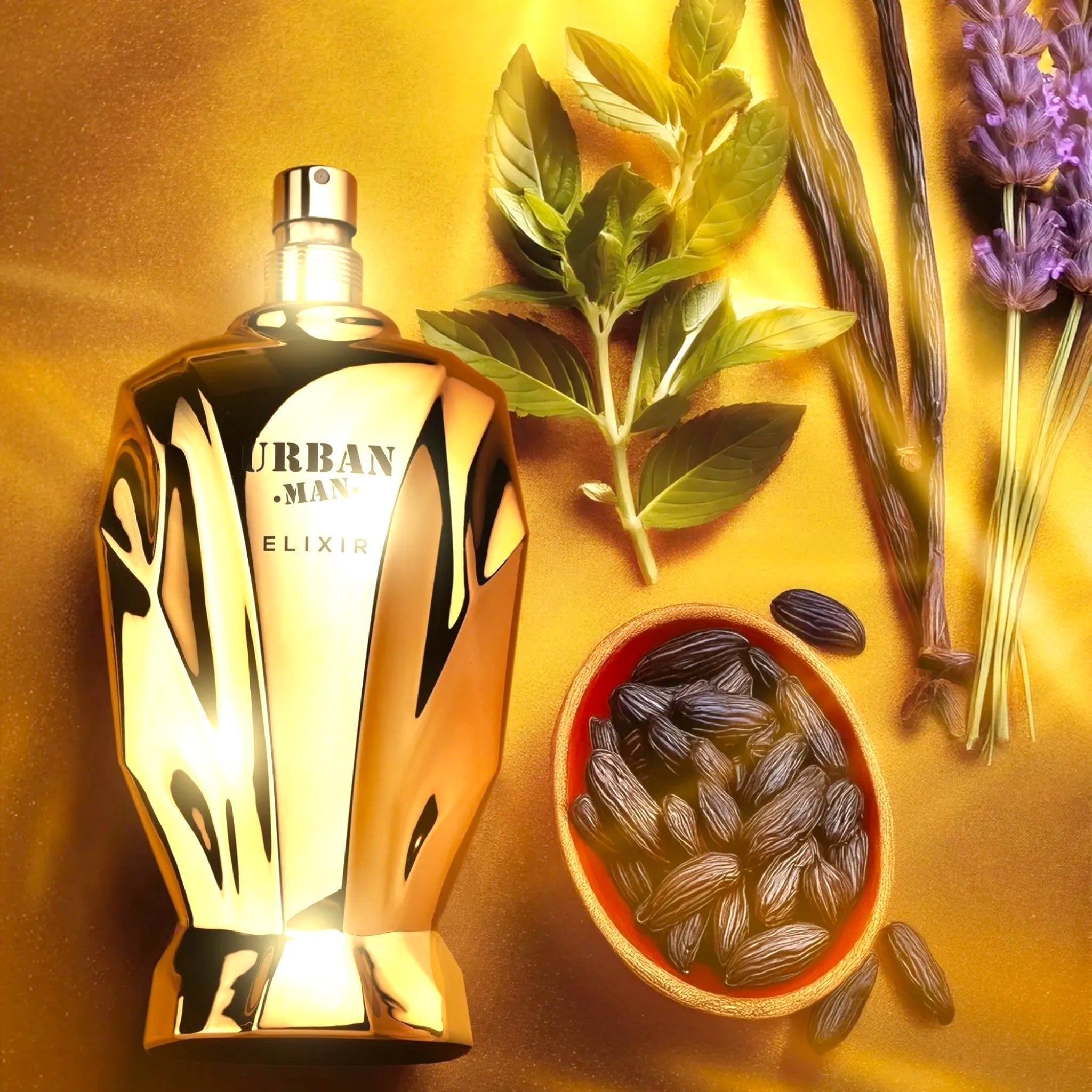 Urban Man Elixir 100ml EDP by Fragrance World