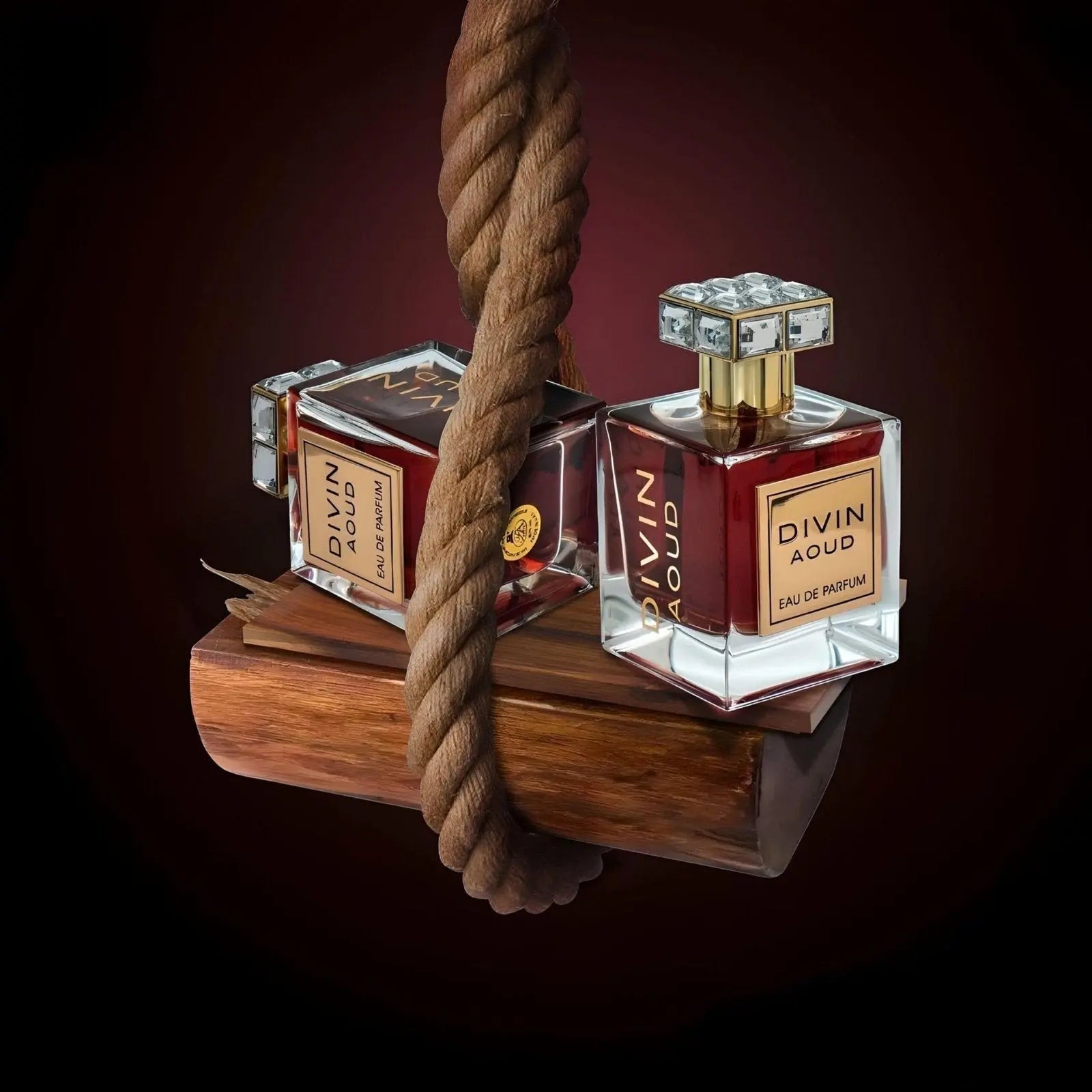 Divin Aoud Perfume 100ml FA Paris by Fragrance World